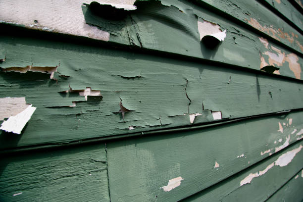 Best Demolition Debris Removal  in Scobey, MT