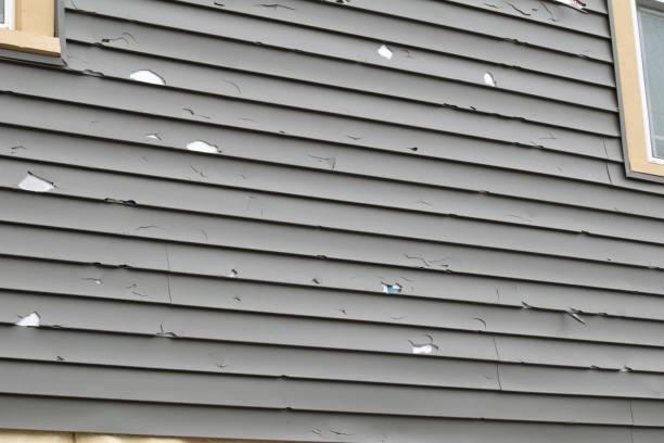 Trusted Scobey, MT Junk Removal Experts